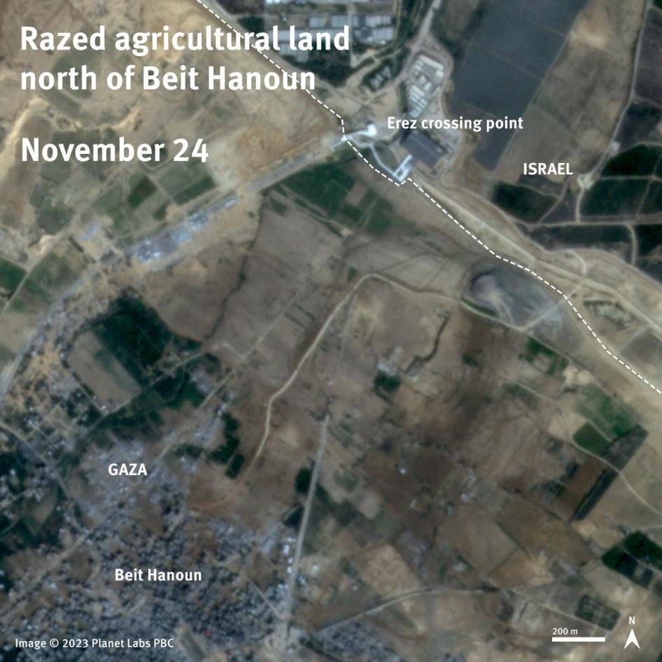 Satellite imagery comparison between November 11 and November 24, 2023 shows razed agricultural land north of Beit Hanoun in an area controlled by Israeli forces.