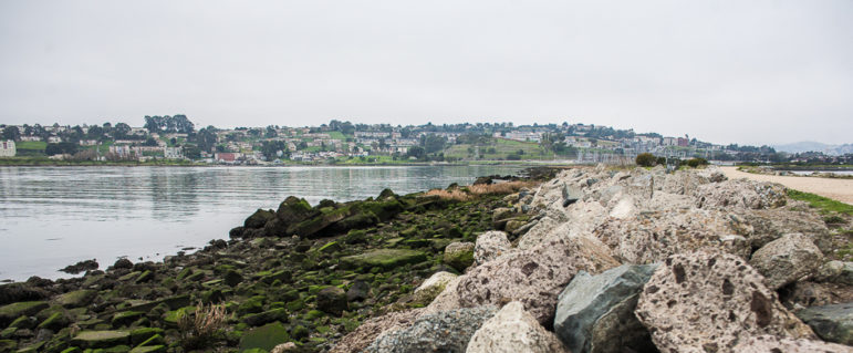 Heron's Head Park shoreline