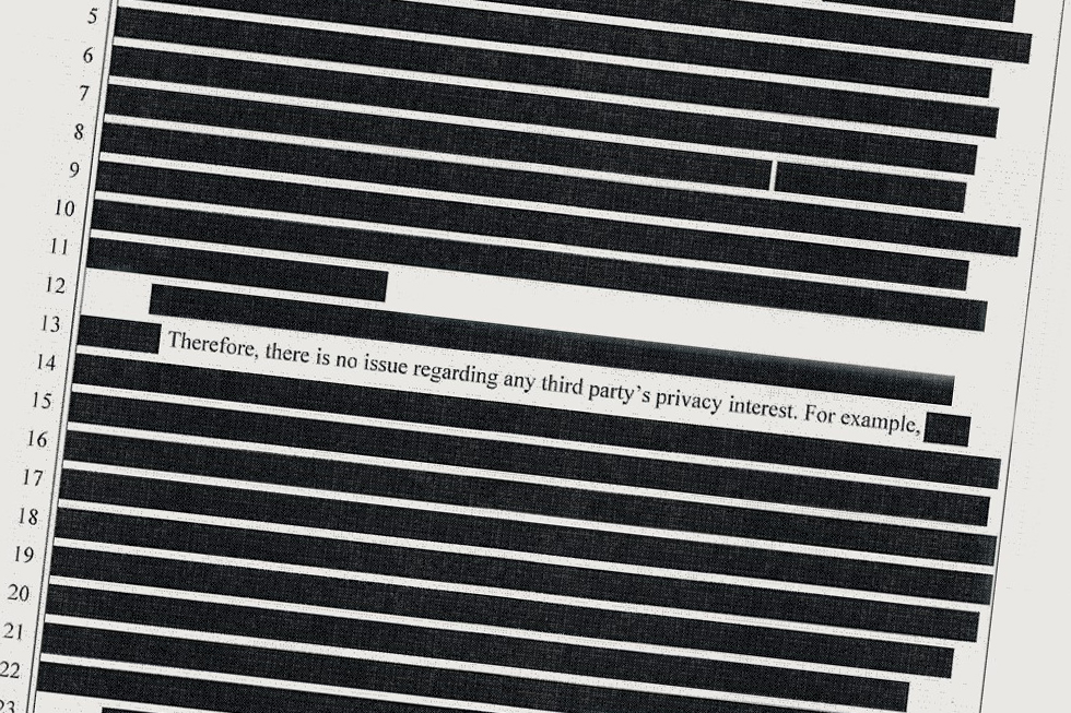 redacted image