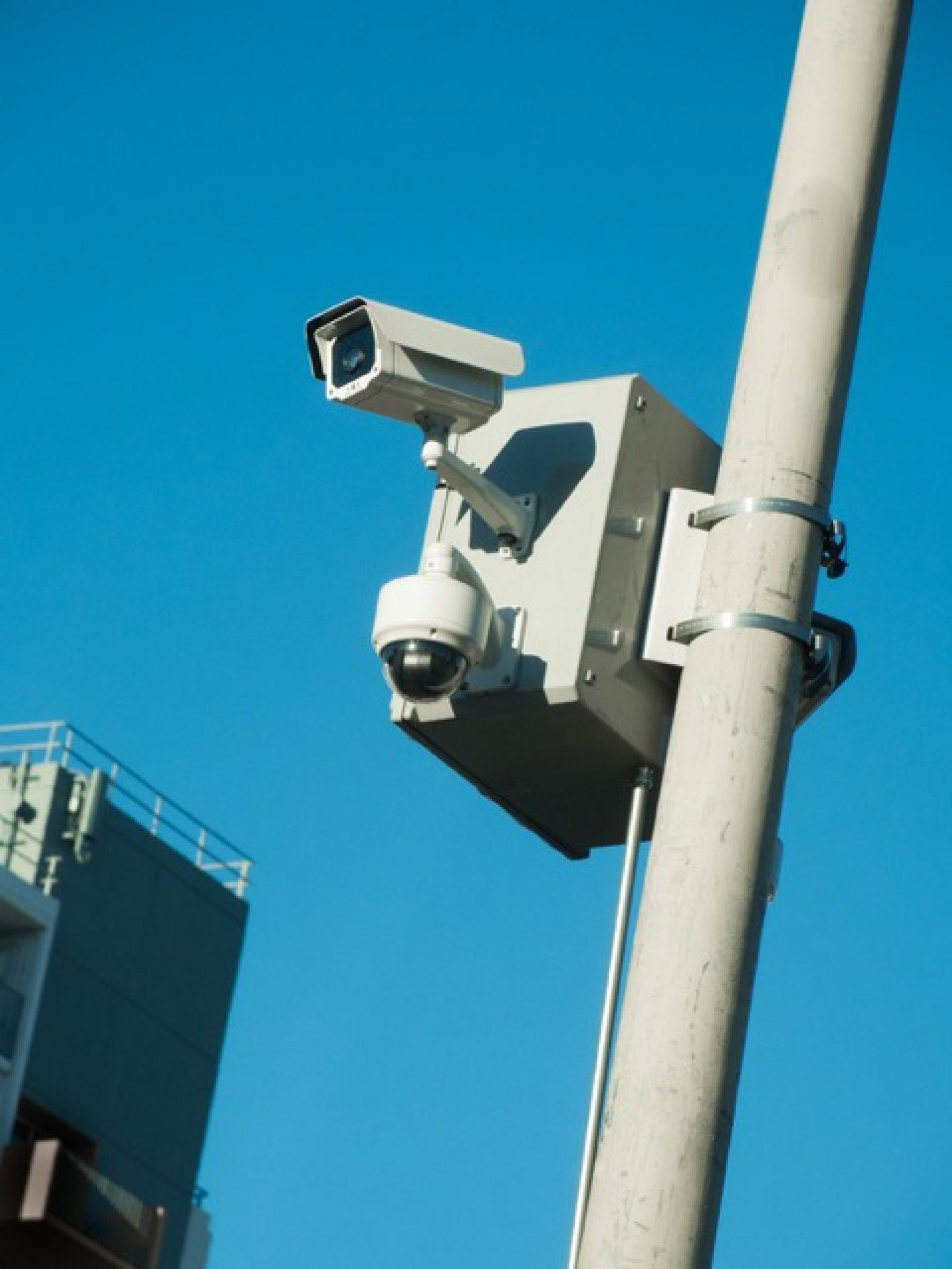 Camera posted on a pole.