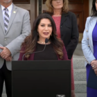 State Sen. Susan Rubio, who introduced a senate bill to expand the California Family Code to include coercive control in family court hearings and criminal trials, speaks about the need to keep children of domestic violence survivors safe in front of Los Angeles City Hall on June 27, 2022.